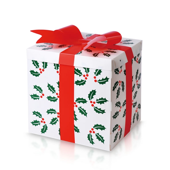 PP gift box